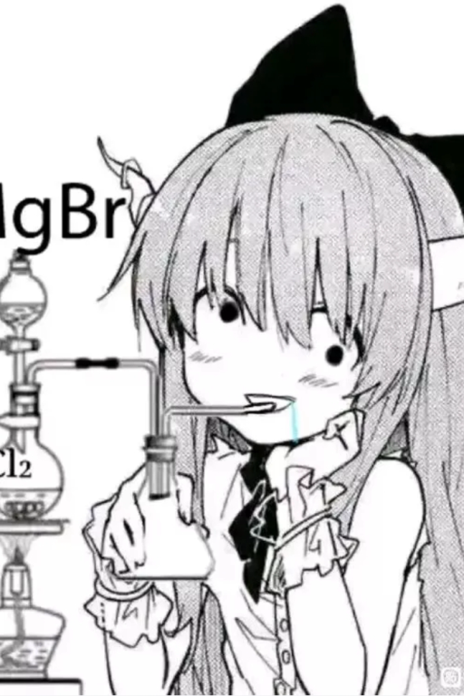 我当镇长的日子