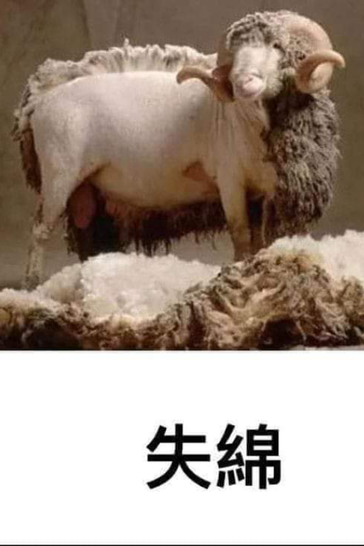 煉銅癖
