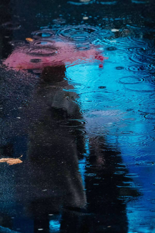 雨染残红泪不干， 晴天一逝永难还。