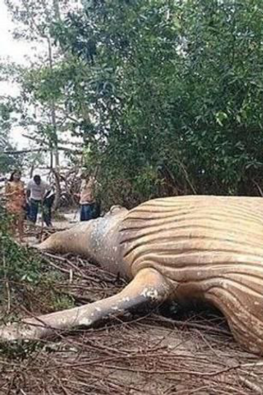 怪谈新闻生成器