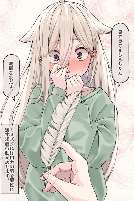 将羽毛饰品送给鸟系青梅被误以为求爱一事