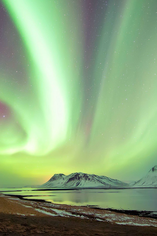 废土世界穿越，我却可以自定义选项？