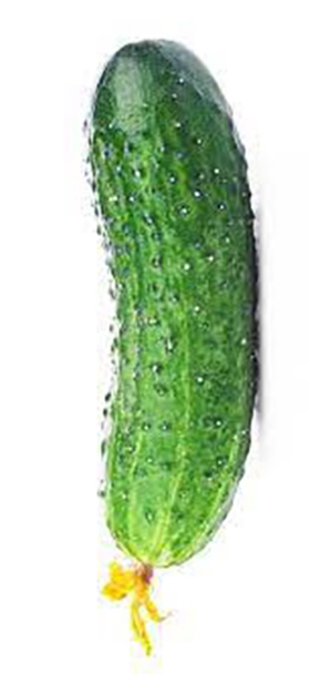 黄瓜