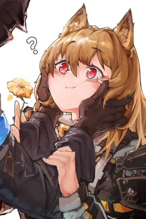 用刻俄柏测试犬娘吃多少巧克力会死