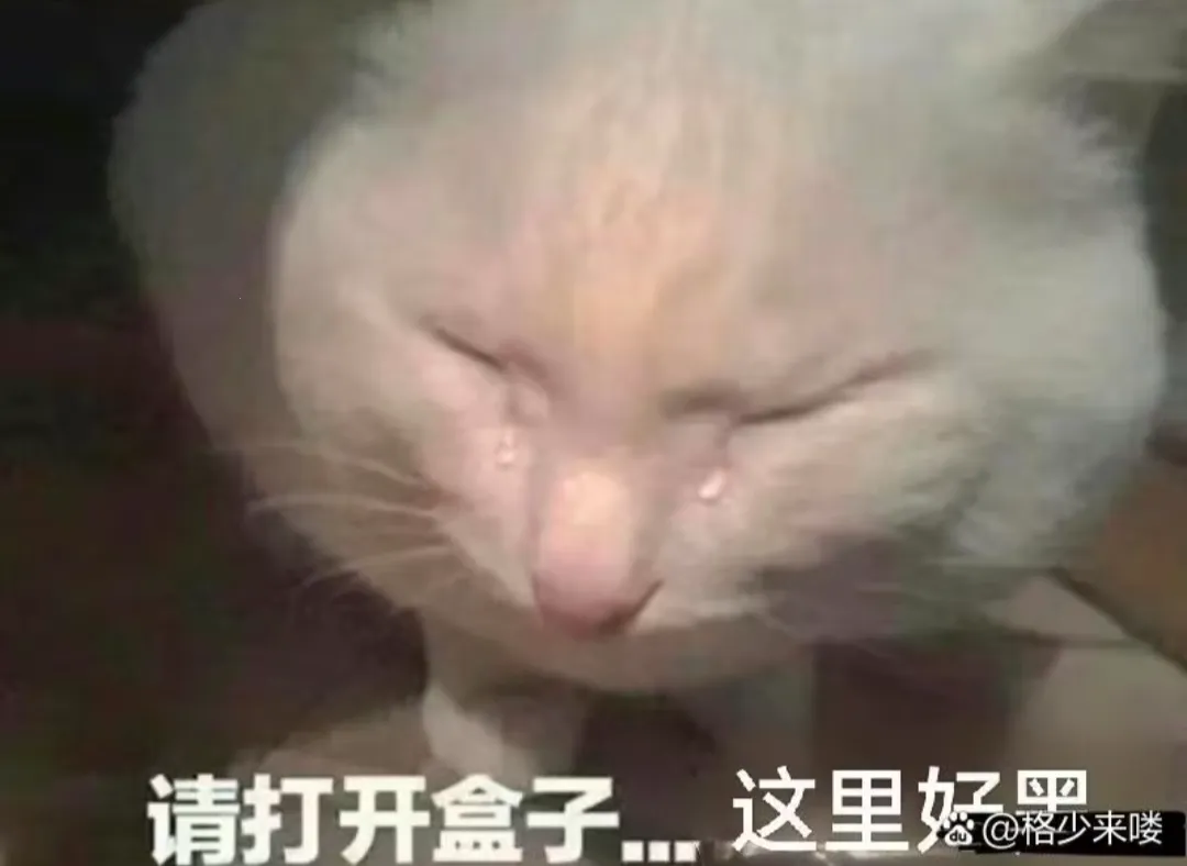 薛定谔的猫