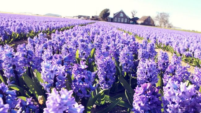 致所有活的不容易的人