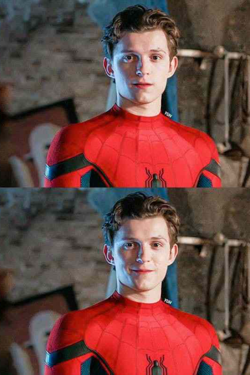 蜘蛛侠(荷兰弟·英雄远征版)