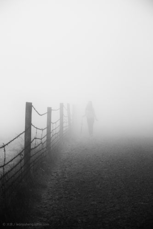 电影卡–迷雾心渊