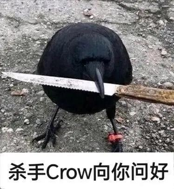 杀手Crow向你问好