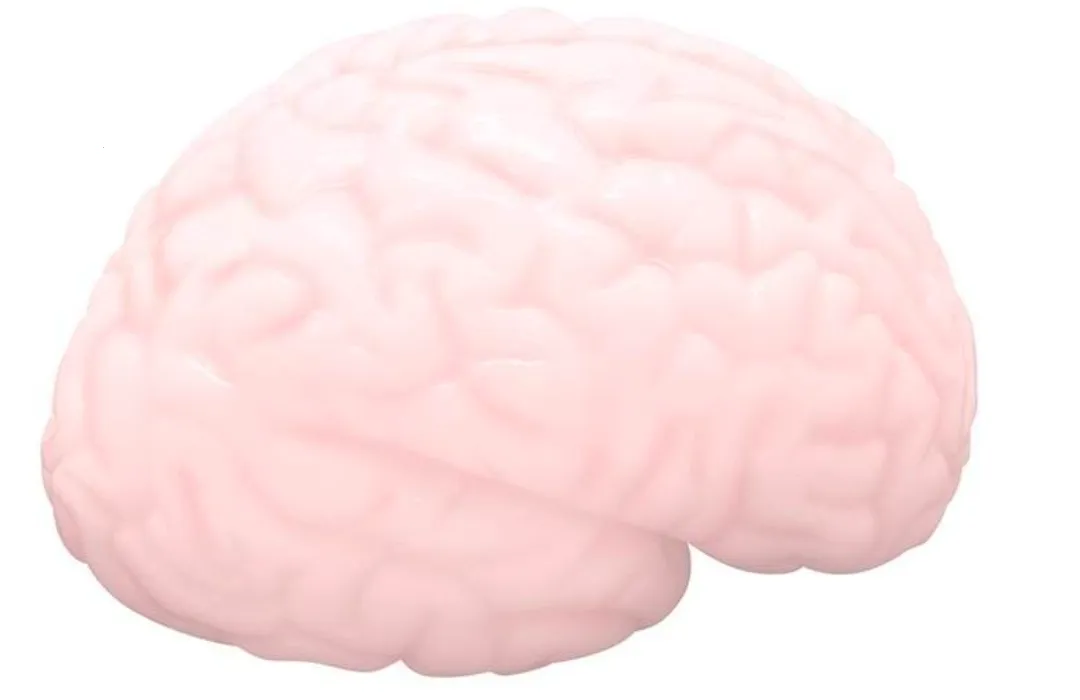 大脑形状的飞机杯