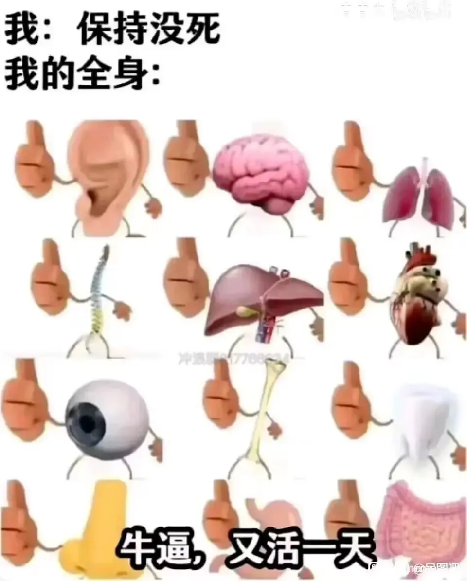 牛逼，又活一天