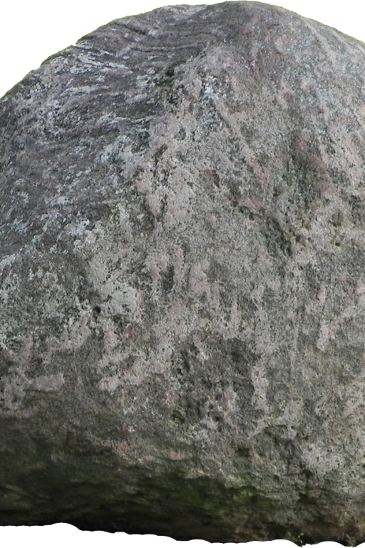 一块说梵语的普通的石头