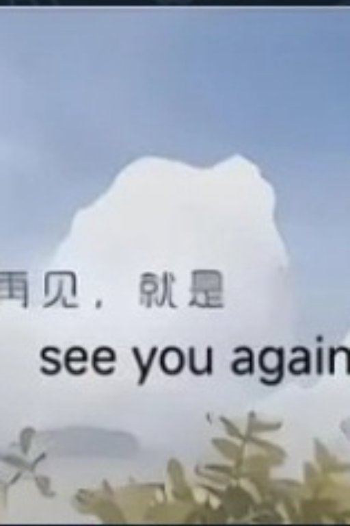 再见,就是see you again