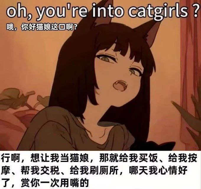 被同居猫娘知道了xp怎么办了？