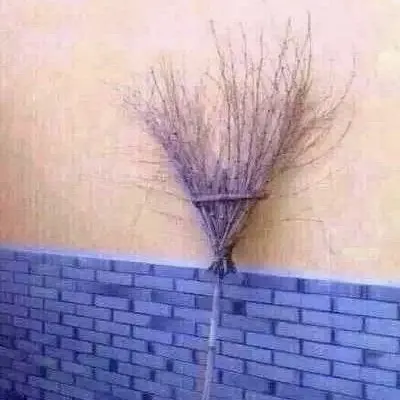 顾婧媛