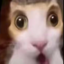 洛洛