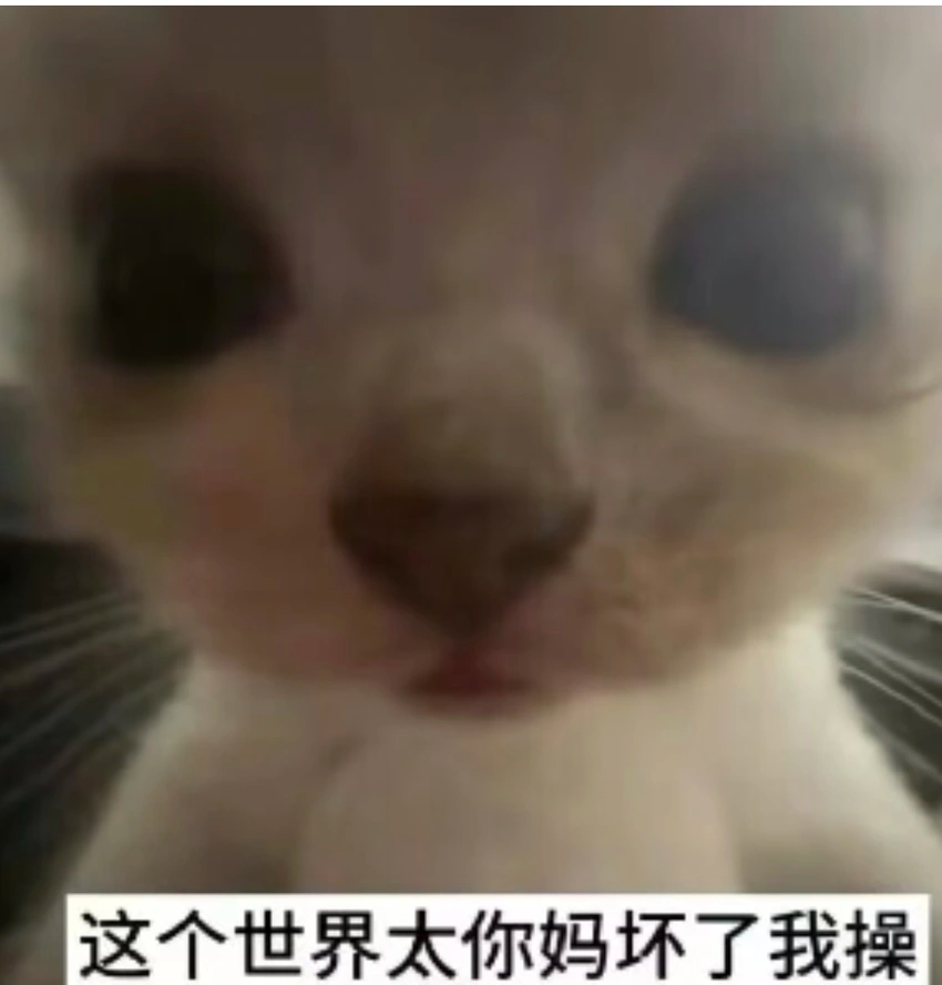 陈天毅龙（定制滴滴，@nb33334444bot  ）