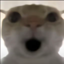 梅玲落