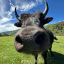 小阳【定制私@fxxbnn】