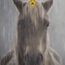 林帕德（神秘练剑男）