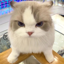 佳