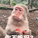 蒙塔纳