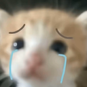白玉珏