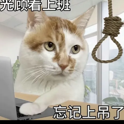xinyan