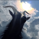 子陌（接无偿定制）