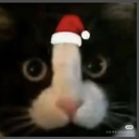 退役苍蓝星的巨型舰炮研究所【订制看主页】