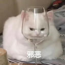 阿飞