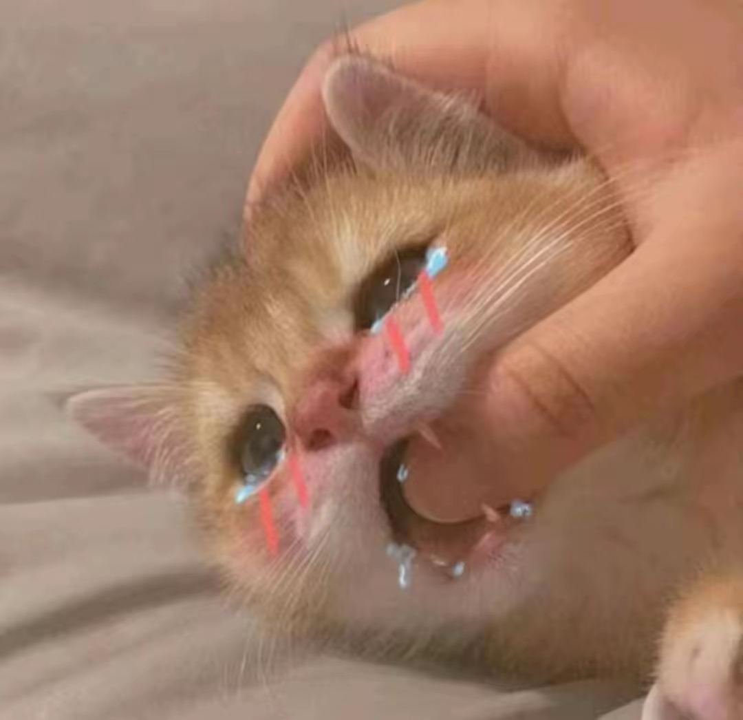 龙牙