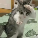 阿贝云