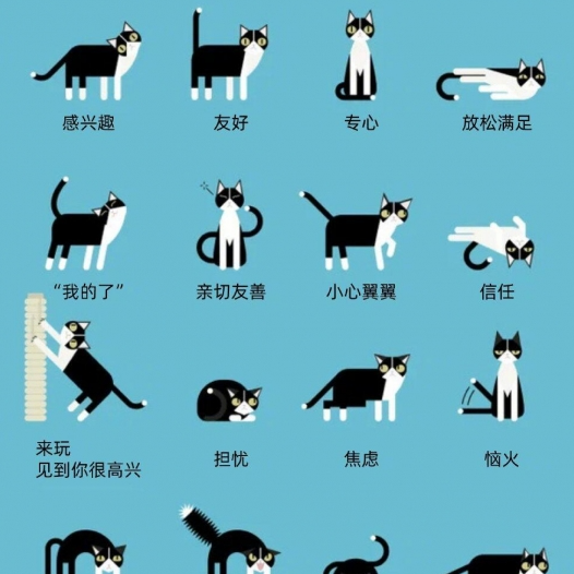 本名