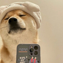 武大郎探花西门庆