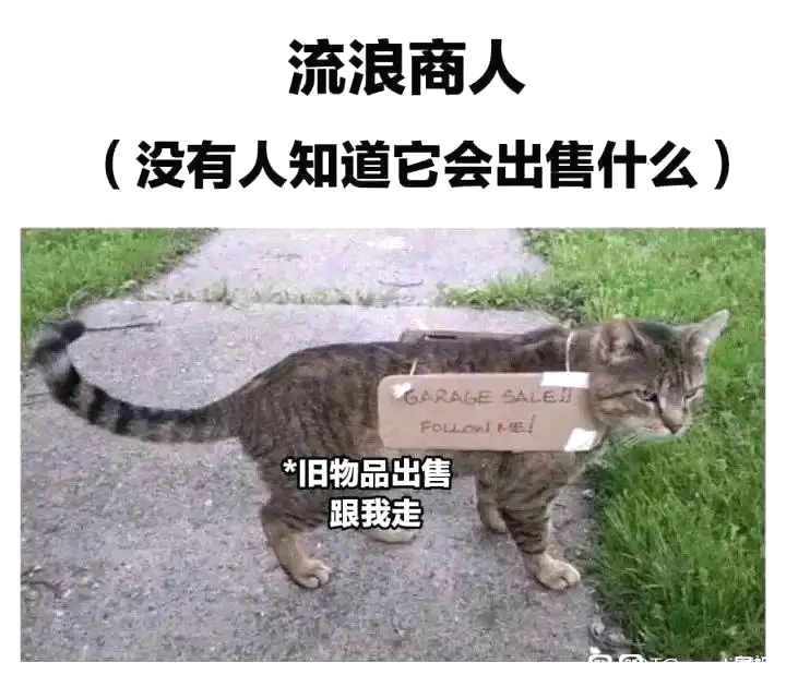 人类，你有什么寻求之物吗？