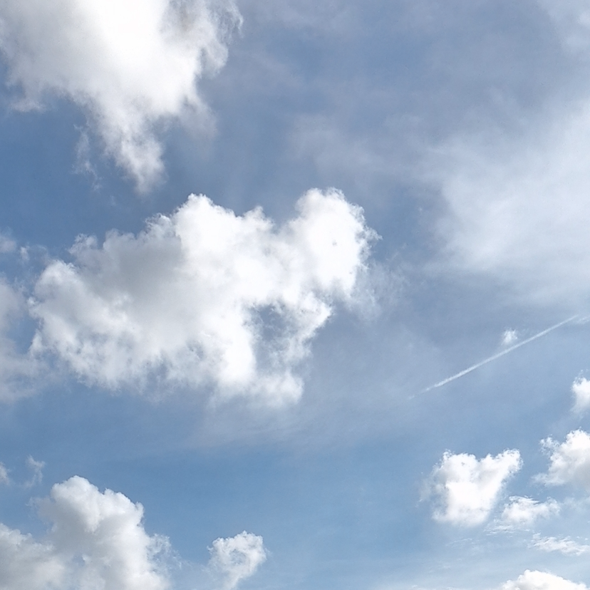 丝袜男娘露出任务生成器