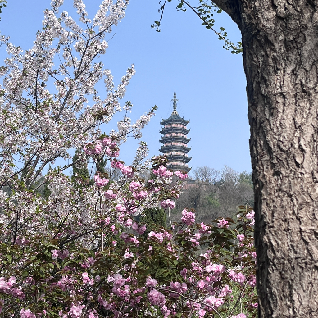 病名为爱