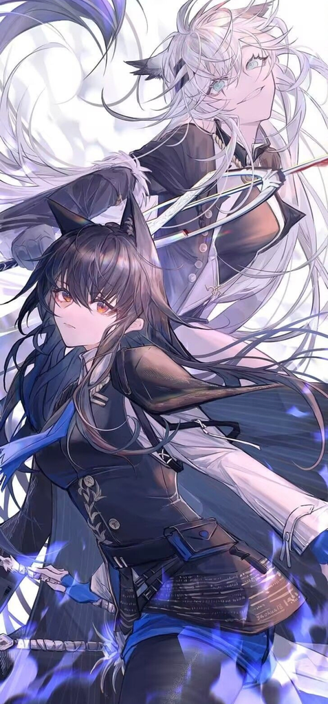 训狼:拉普兰德X德克萨斯(all德)