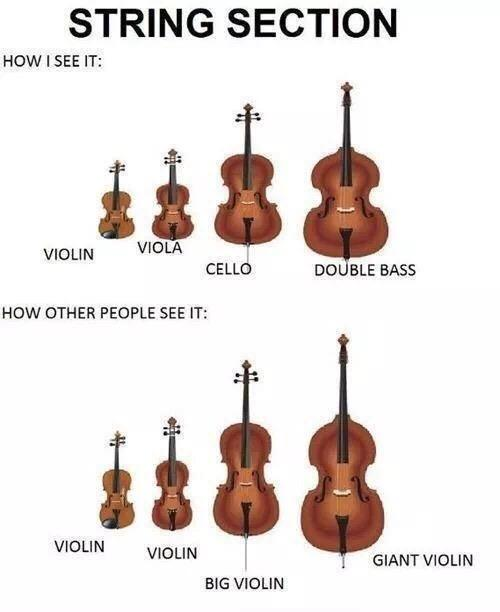 马善被人骑，人善拉中提