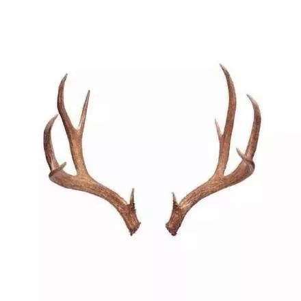 同桌那渴望性的母亲