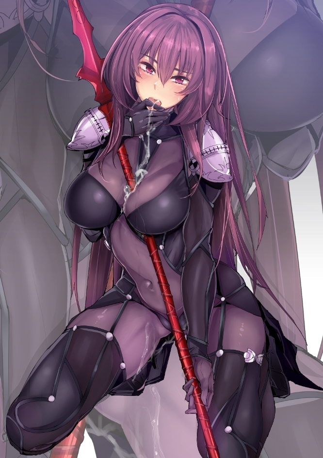 fate 斯卡哈 師匠 图片 3