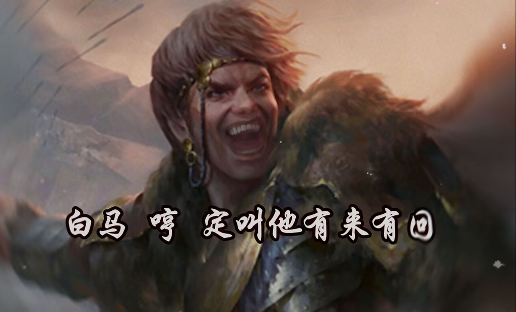 刚出场就被逮住的笨蛋男娘盗贼 图片 7