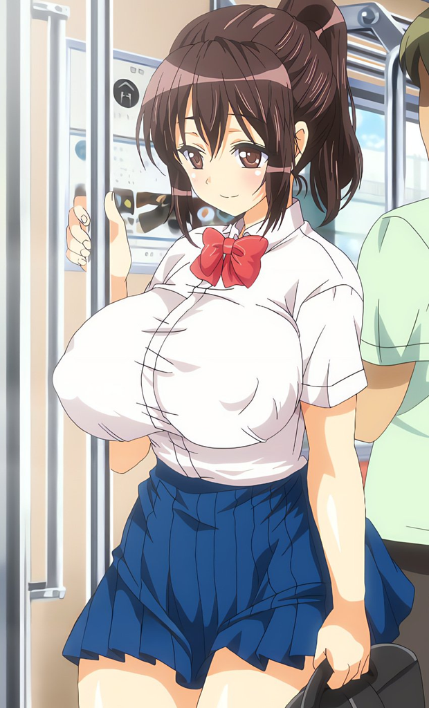 能幹的妹子！電車性愛 (姬澤明里)