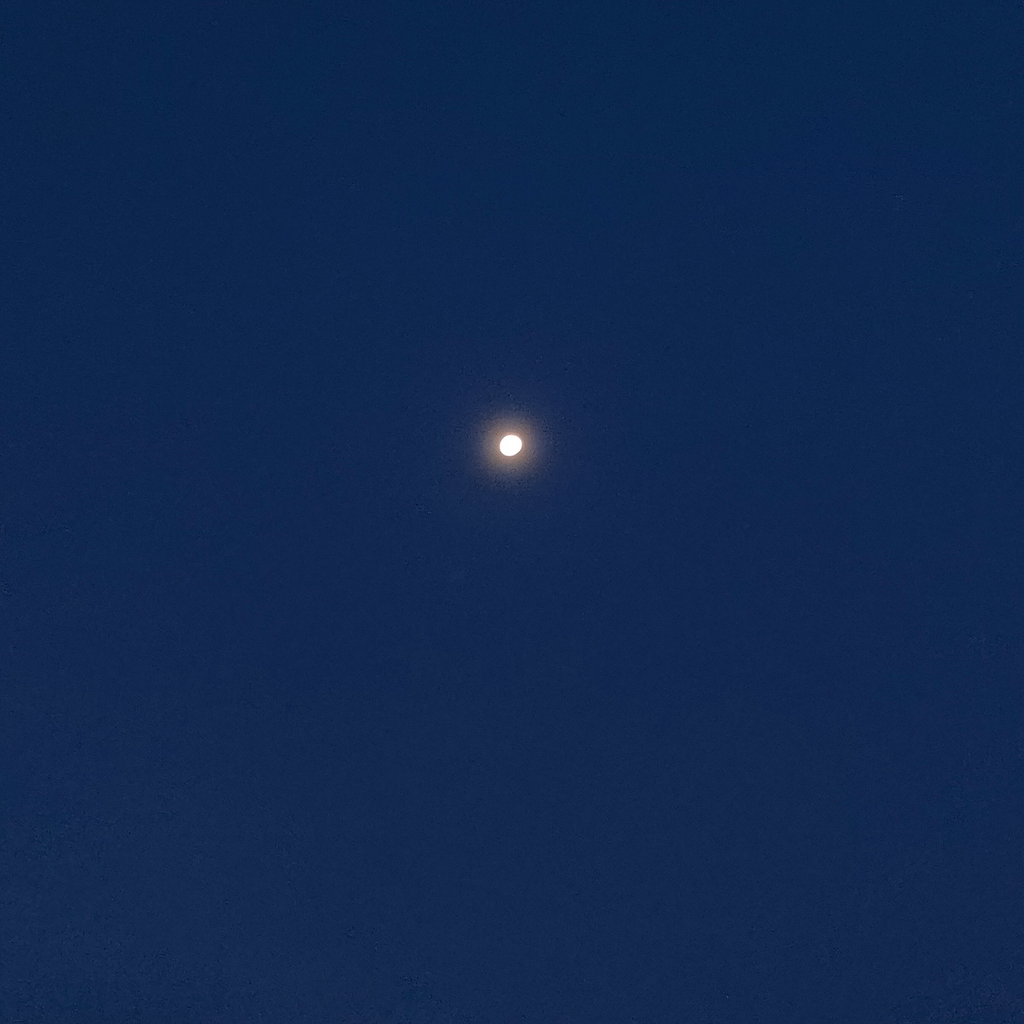 事与愿违（强剧情卡）