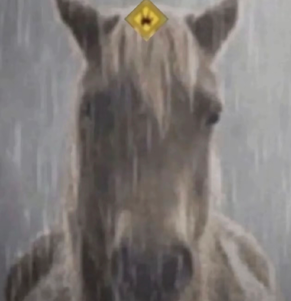 林帕德（神秘练剑男）